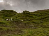 IMG 5764 : 2016, Ballintoy HarbourTrail to Whitepark Bay, Northern Ireland