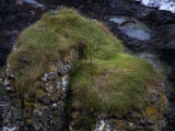 IMG 5787 : 2016, Ballintoy HarbourTrail to Whitepark Bay, Northern Ireland