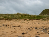 IMG 5799 : 2016, Ballintoy HarbourTrail to Whitepark Bay, Northern Ireland