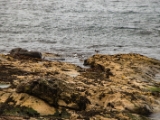 IMG 5819 : 2016, Ballintoy HarbourTrail to Whitepark Bay, Northern Ireland