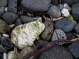 IMG 5832 : 2016, Ballintoy HarbourTrail to Whitepark Bay, Northern Ireland