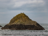 IMG 5840 : 2016, Ballintoy HarbourTrail to Whitepark Bay, Northern Ireland