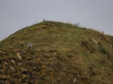 IMG 5890 : 2016, Ballintoy HarbourTrail to Whitepark Bay, Northern Ireland