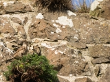 IMG 6177 : 2016, Dunluce Castle, Northern Ireland