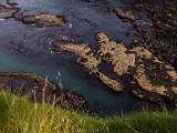 IMG 6210 : 2016, Dunluce Castle, Northern Ireland