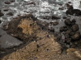 IMG 6278 : 2016, Causeway Coast, Giants Causeway, Northern Ireland