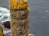 IMG 6365 : 2016, Causeway Coast, Giants Causeway, Northern Ireland
