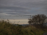 IMG 6448 : 2016, Northern Ireland