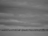 IMG 6450 : 2016, Northern Ireland