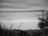 IMG 6451 : 2016, Northern Ireland
