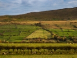 IMG 6462 : 2016, Northern Ireland