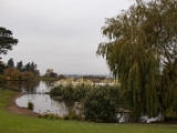 IMG 6483 : 2016, Northern Ireland, WWC Castle Espie