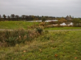 IMG 6558 : 2016, Northern Ireland, WWC Castle Espie