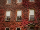 IMG 6700 : 2016, Dublin, Ireland