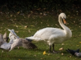 IMG 6833 : 2016, Dublin, Ireland