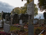 IMG 5229 : 2016, County Meath, Ireland