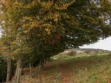 IMG 5426 : 2016, Ireland, Viaduct of Downpatrick