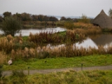 IMG 6559 : 2016, Northern Ireland, WWC Castle Espie