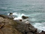 IMG 4918