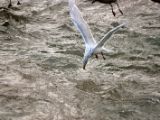IMG 4943