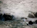 IMG 4955
