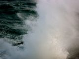 IMG 4959