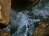 IMG 4968