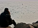 IMG 4990