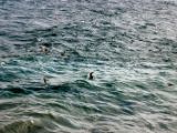 IMG 4993