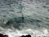 IMG 4994
