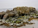 IMG 5063