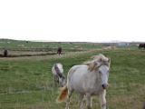 IMG 5140