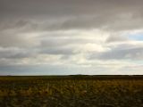 IMG 5149