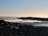 IMG 5201