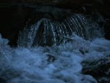 IMG 5308