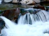 IMG 5315