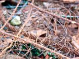 IMG 5331