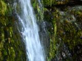 IMG 5390