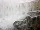 IMG 5509