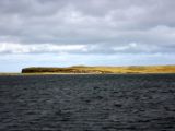 IMG 5525