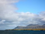 IMG 5528