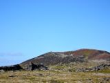 IMG 5576