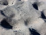 IMG 5624