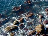 IMG 5756