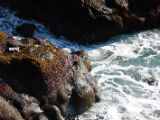 IMG 5768