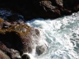 IMG 5769