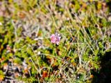 IMG 5775