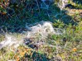 IMG 5783
