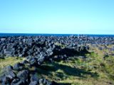 IMG 5793