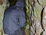 IMG 5806